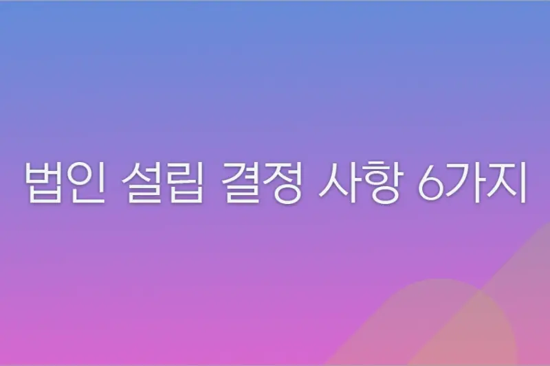 법인 설립 결정 사항 6가지