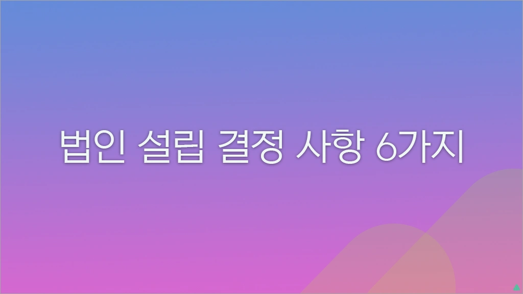 법인 설립 결정 사항 6가지