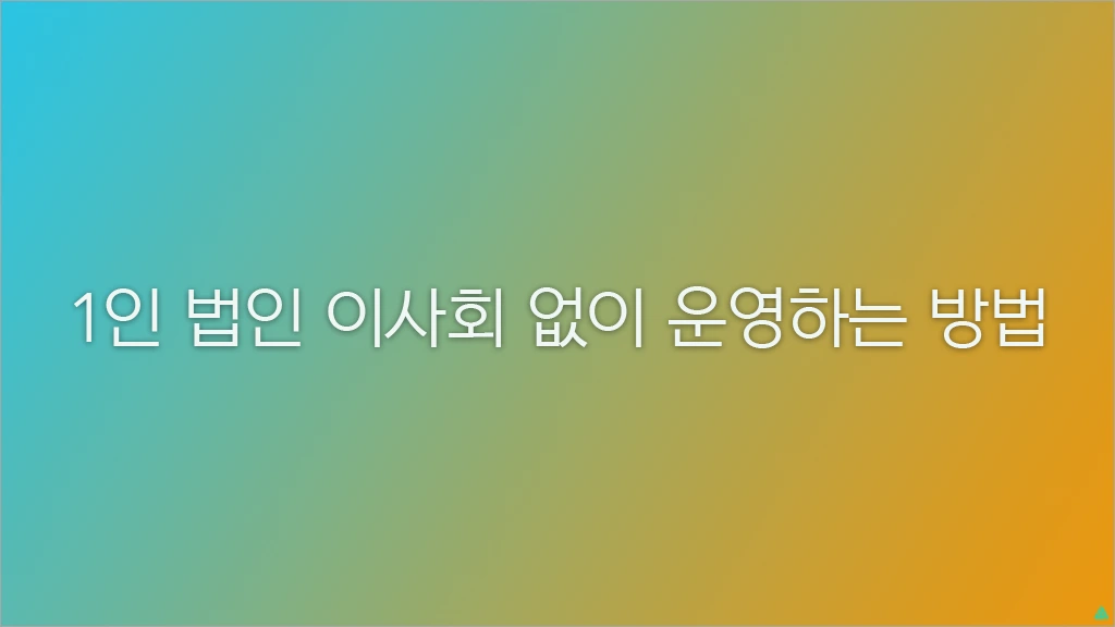 1인 법인 이사회 없이 운영하는 방법